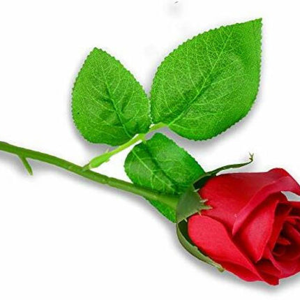 Rose-themed Valentine’s gifts
Propose Day gifts
Romantic gifts for Propose Day
Proposal gifts for couples
Chocolate Day gifts
Valentine’s chocolate gift boxes
