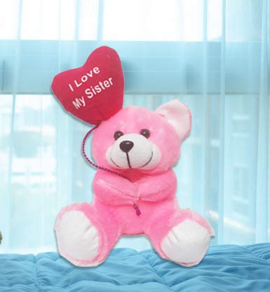 Teddy Bear gift, Comfy & Soft Teddy, Cute Teddy Bear for Sister, Gift for Sister